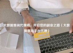 大数据查询代理商，开启您的副业之路（大数据查询平台代理）