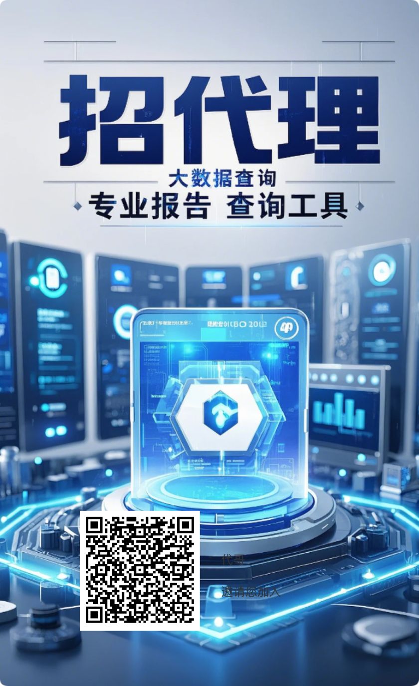 大数据查询代理 推广海报
