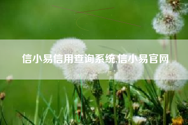 信小易信用查询系统,信小易官网