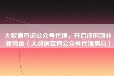 大数据查询公众号代理，开启你的副业新篇章（大数据查询公众号代理信息）