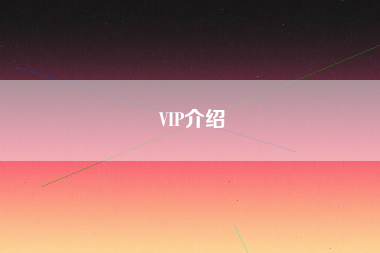 VIP介绍