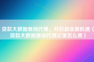 贷款大数据查询代理，开启副业新机遇（贷款大数据查询代理记录怎么查）