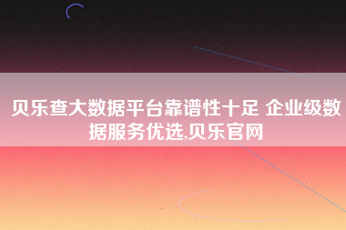 贝乐查大数据平台靠谱性十足 企业级数据服务优选,贝乐官网